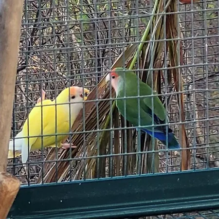 Apartmán Sunset Refuge