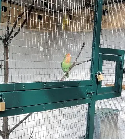 Sunset Refuge Daire *