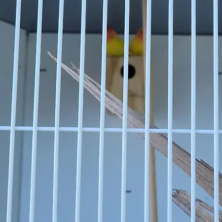 דירה Sunset Refuge