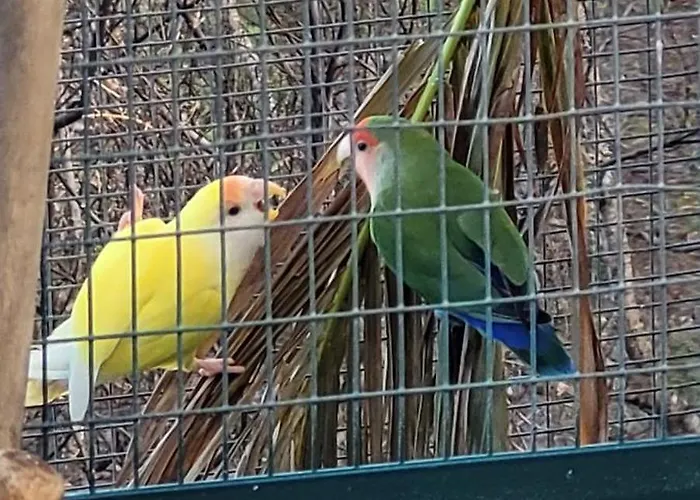 דירה Sunset Refuge