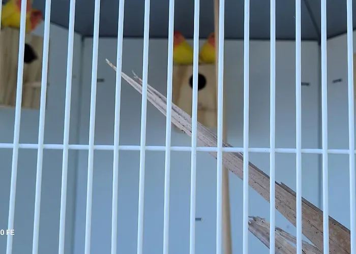 דירה Sunset Refuge